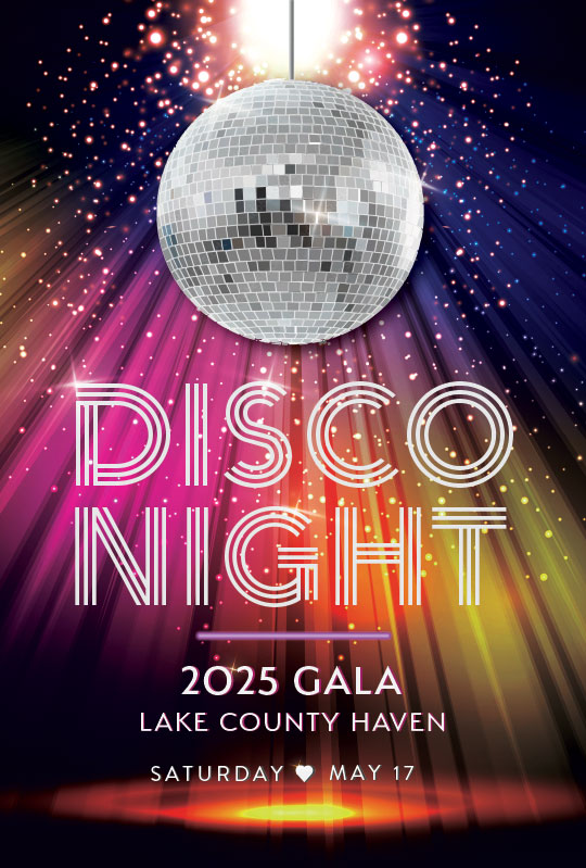 Disco Night 2025 Gala with mirrorball, lights, dancefloor